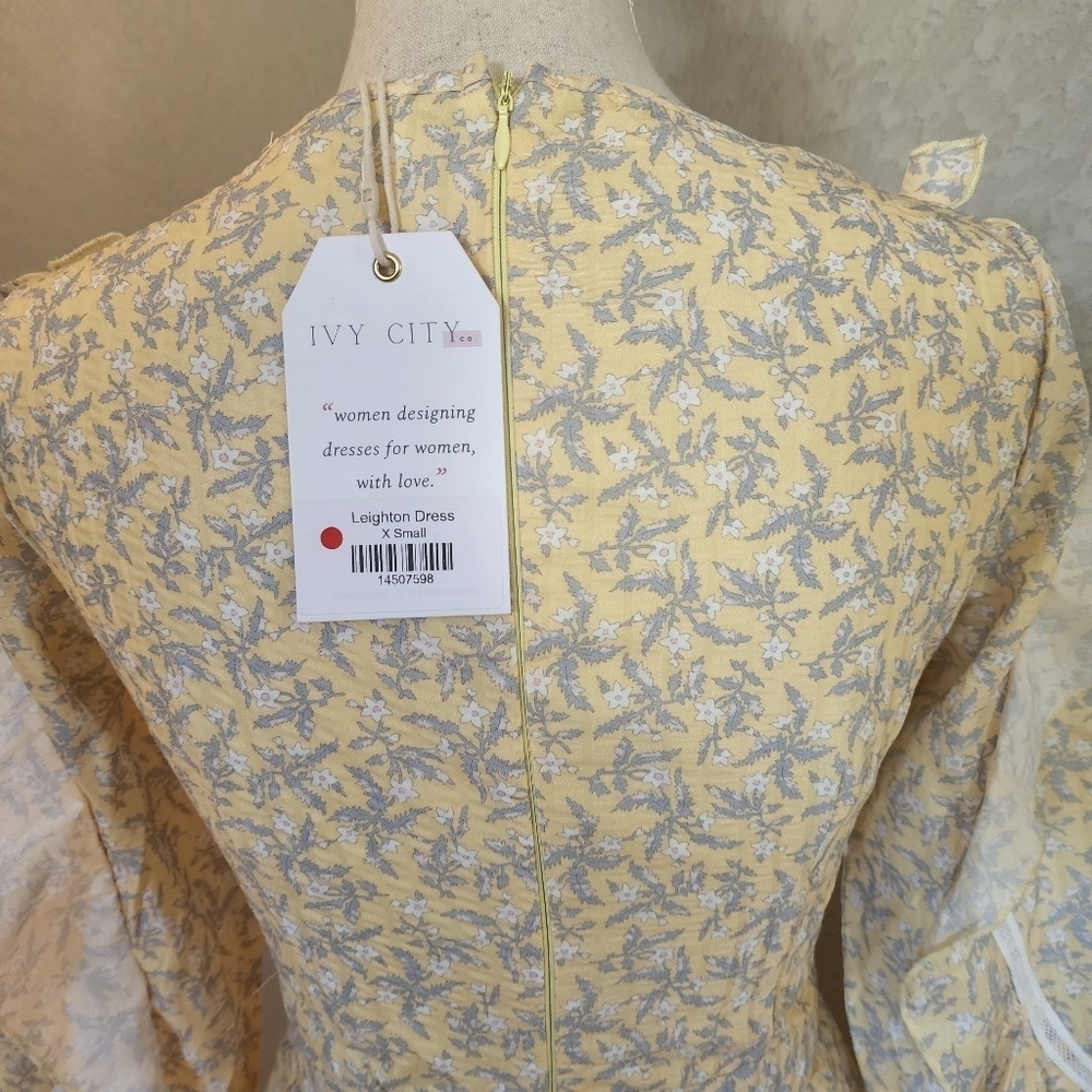 Ivy City Leighton Dress Size XS New with tags - Picture 6 of 13